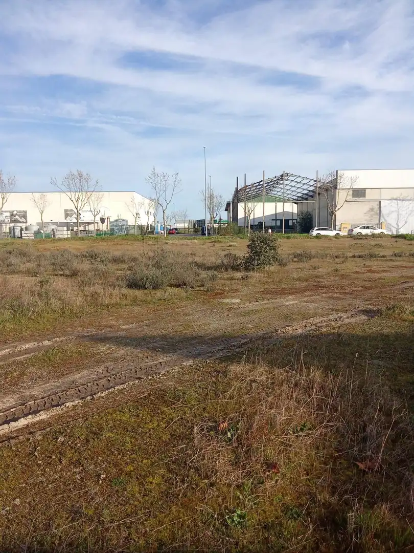 Terrenos y solares en venta en Malpartida de Cáceres