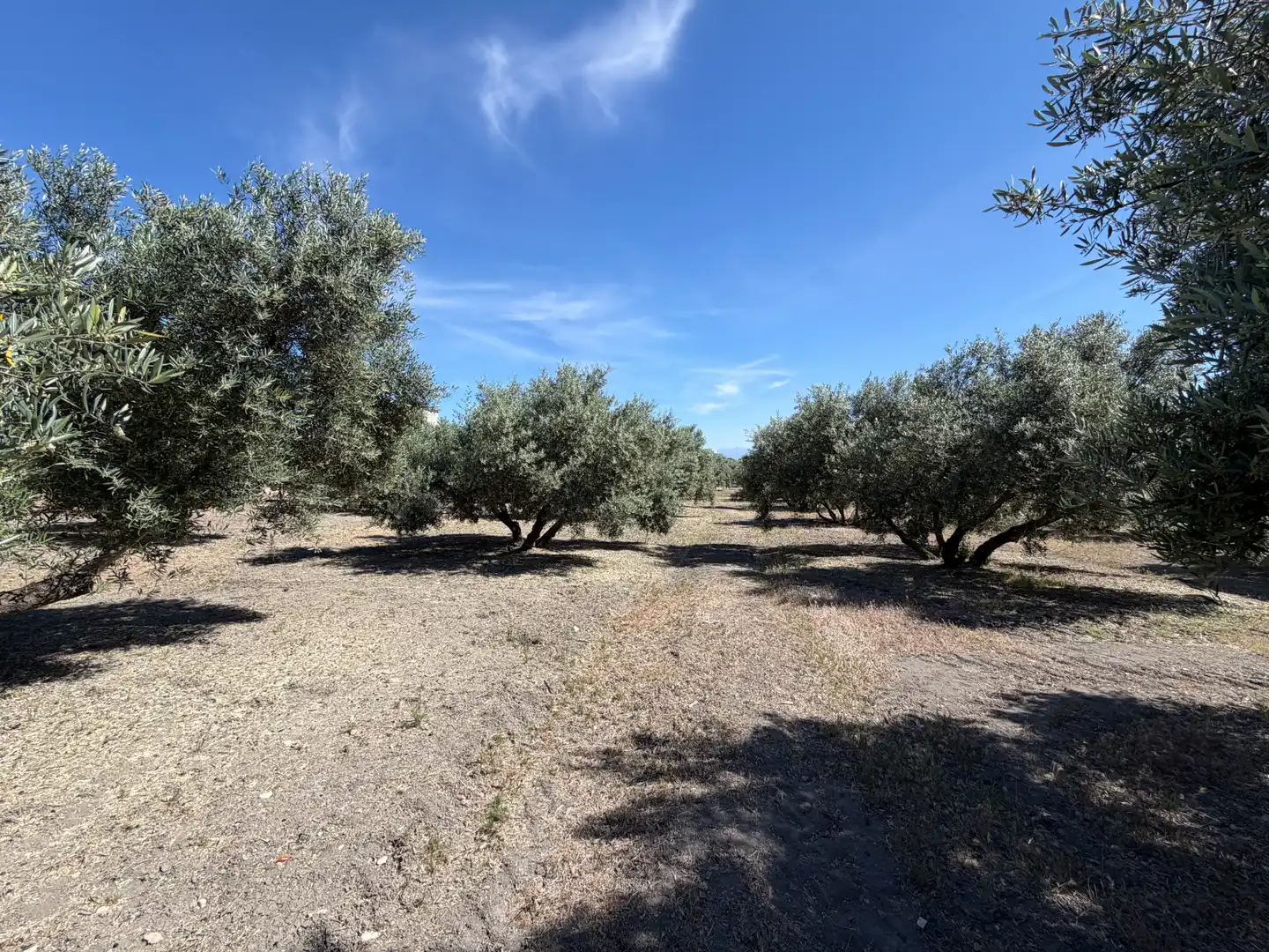 Terrenos y solares en venta en Carretera, imagen 5