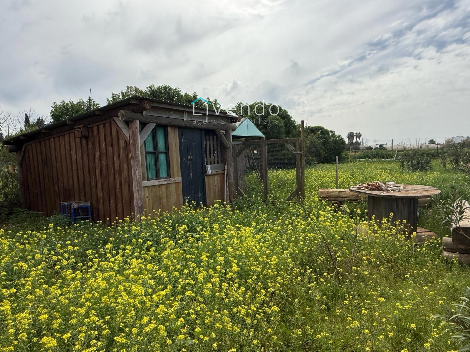 Terreny en venda en Conil de la Frontera