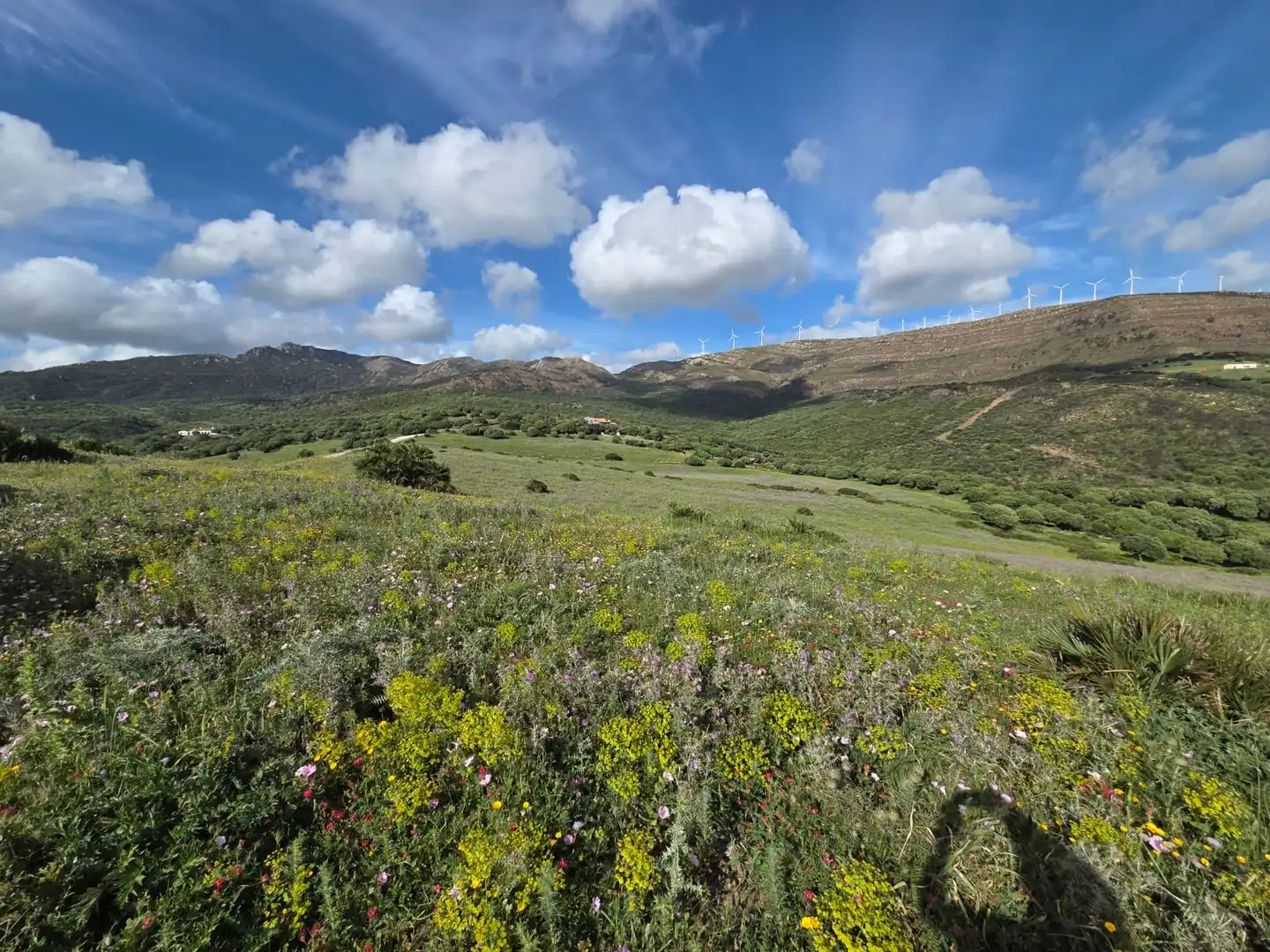 Vista exterior de Terreno en venta en Tarifa