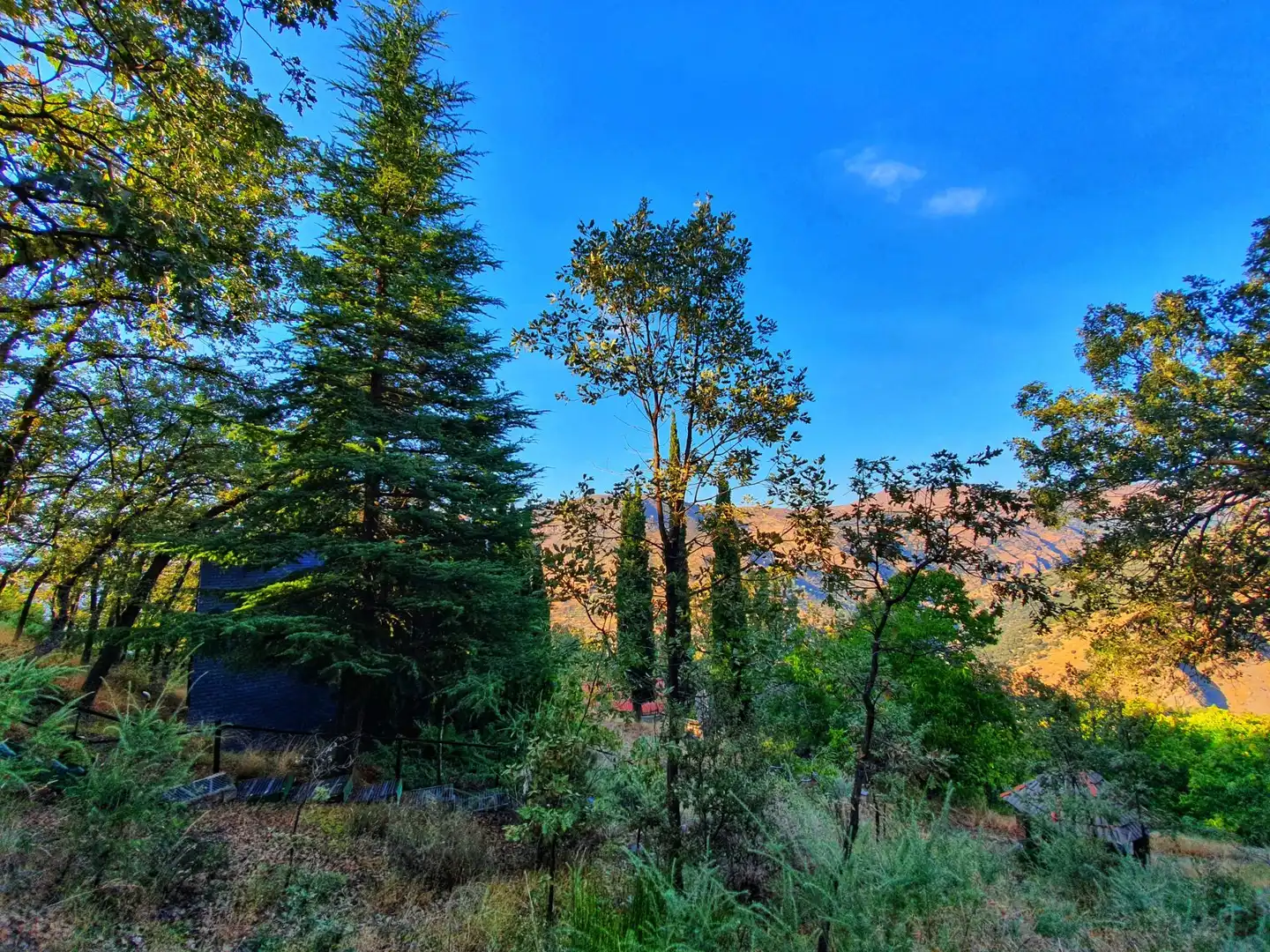 Vista exterior de Casa o chalet en venta en Güéjar Sierra con Calefacción, Jardín privado y Terraza