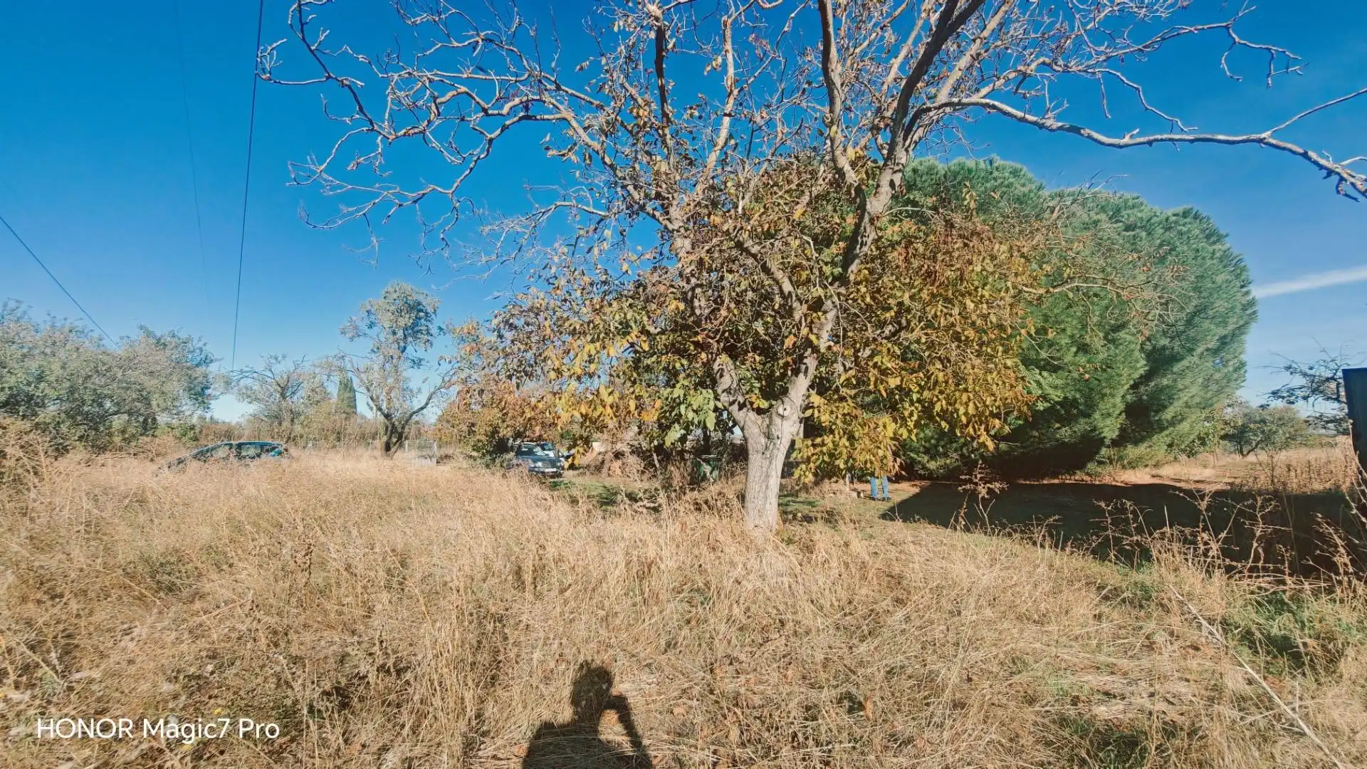 Finca rústica en venda en Urbanización Siglo XXI - Carretera de Villalpando