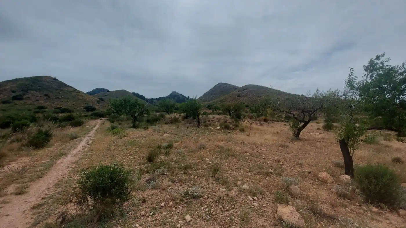 Terreno en venta en Fuente Álamo de Murcia