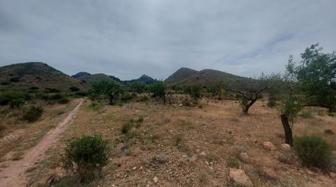 Photo 2 of Land for sale in La Pinilla - Las Palas, Fuente Álamo de Murcia