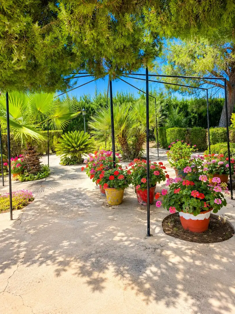 Casa en venta en Cieza, imagen 19