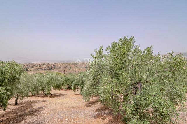 Terreno en Venta en Fargue