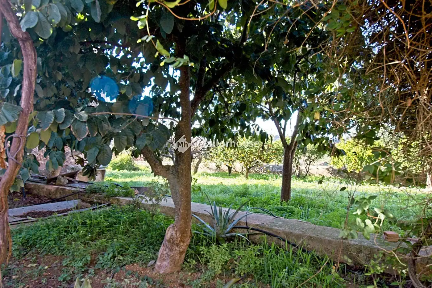 Jardí de Finca rústica en venda en  Palma de Mallorca amb Jardí privat, Terrassa i Traster