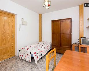 Estudi per a compartir a Centro - Sagrario