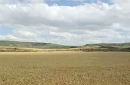 Rural land for sale in Tarazona, imagen 3