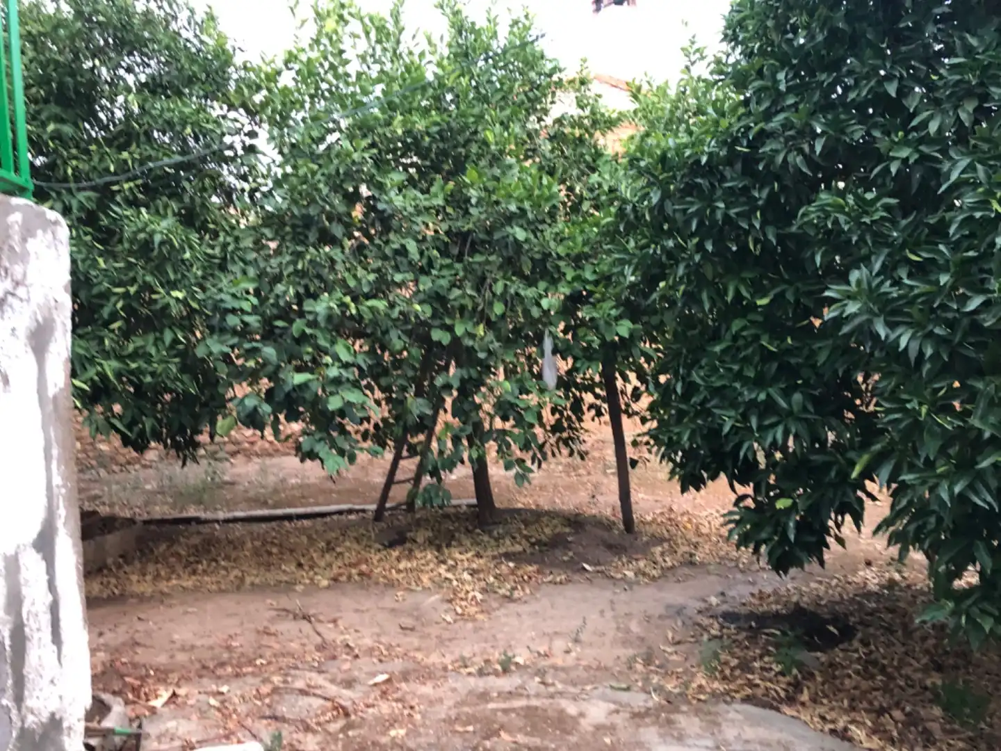 Casa con giardino in vendita a Meléndez Valdes 7, imagen 19