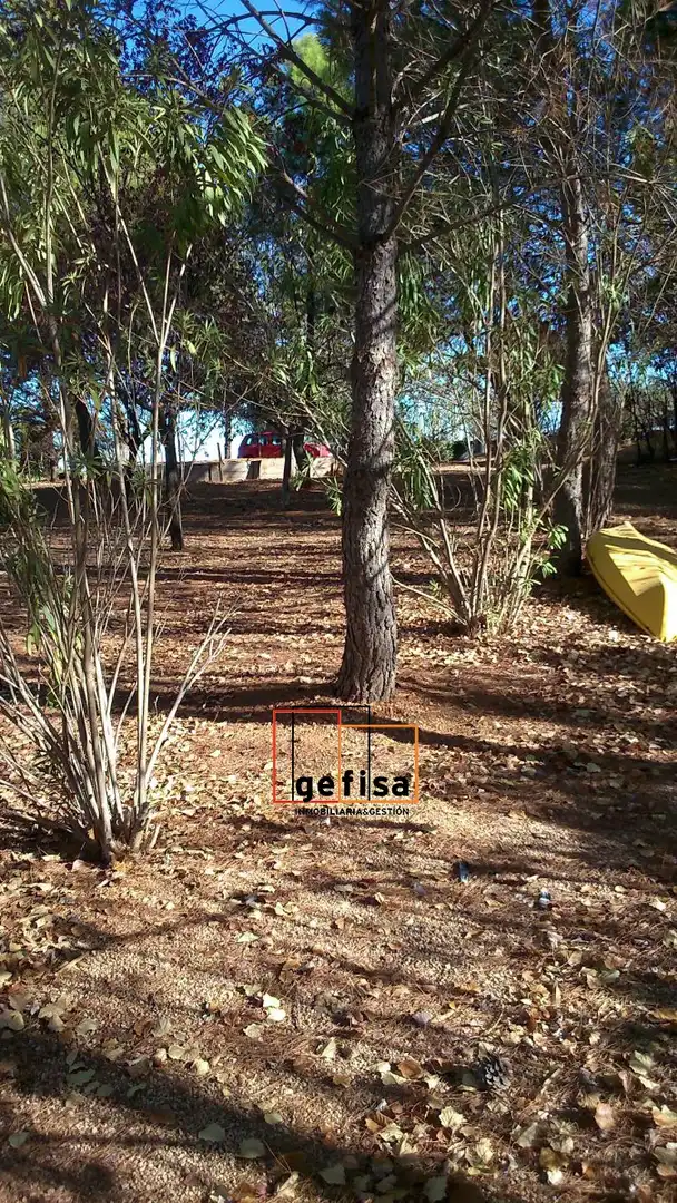 Finca rústica en venda en Montiel