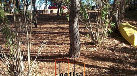 Foto 3 de Finca rústica en venta en Cozar, Montiel, Ciudad Real