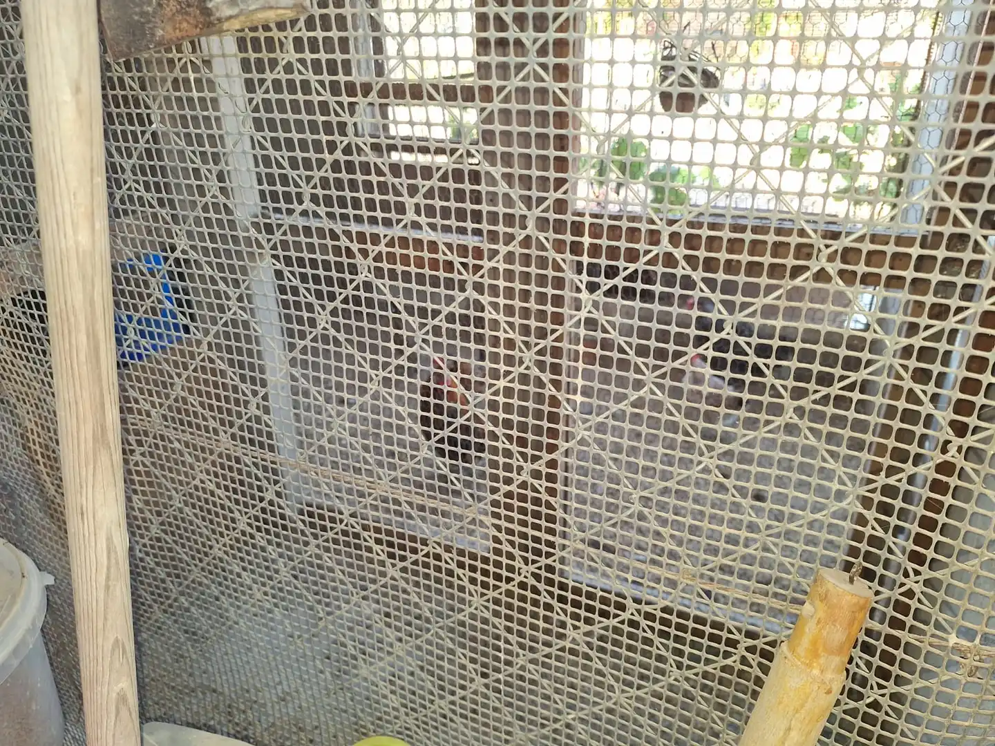 Casa rústica en venta en Partidas de Alicante, imagen 15