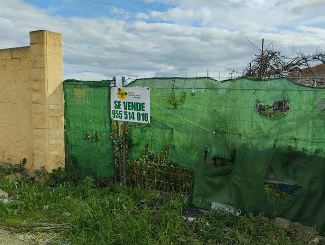 Terreno en Venta en Torre de la Reina