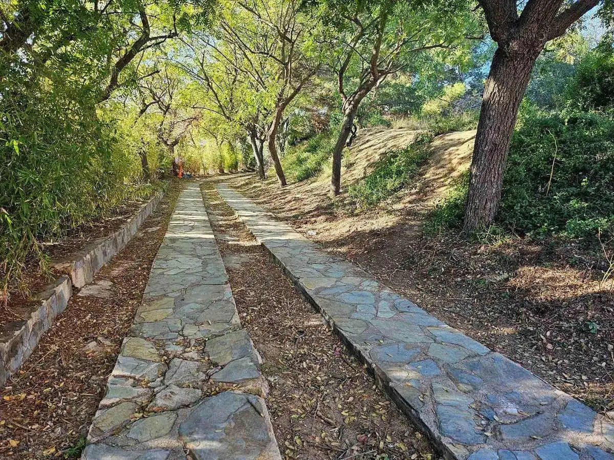 Vista exterior de Finca rústica en venta en Cabrils con Jardín privado