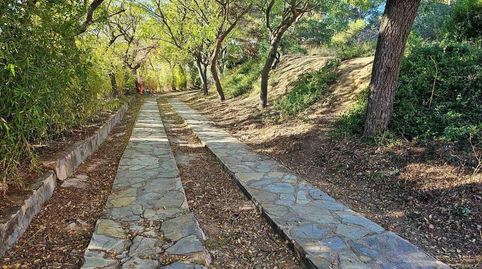 Foto 4 de Finca rústica en venta en Cami de Mataro, Cabrils, Barcelona