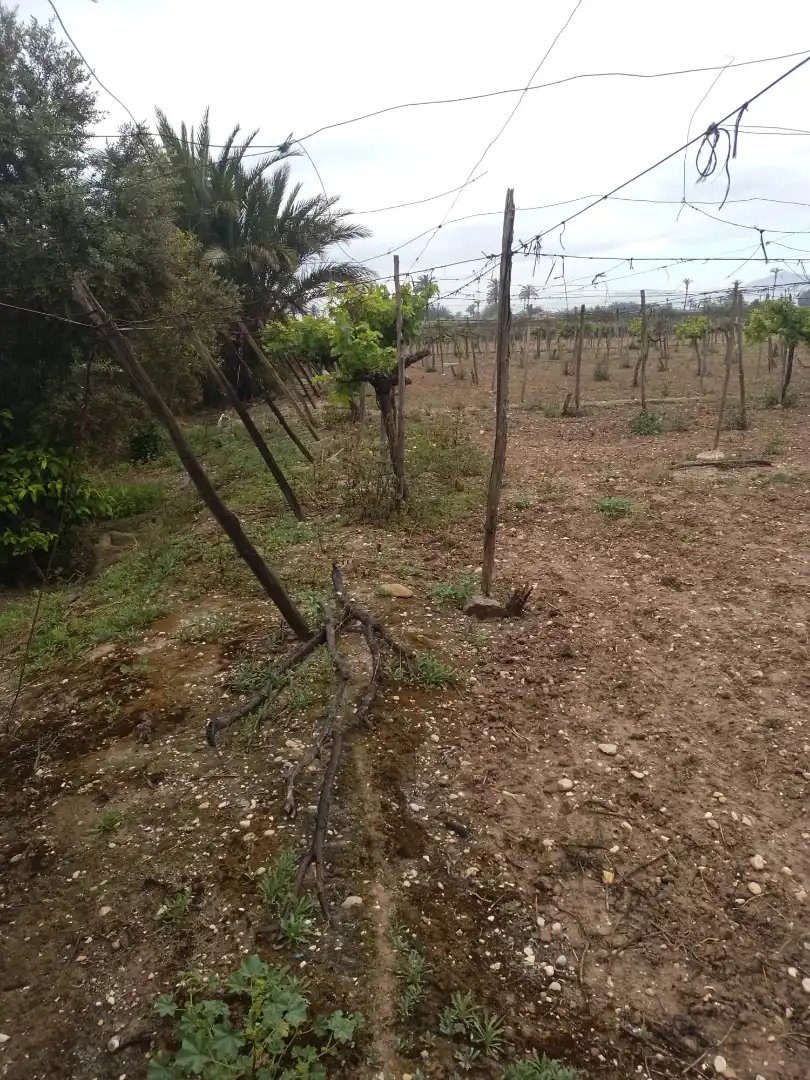 Terrain rustique à vendre à La Foia - Daimés - Asprella, imagen 11