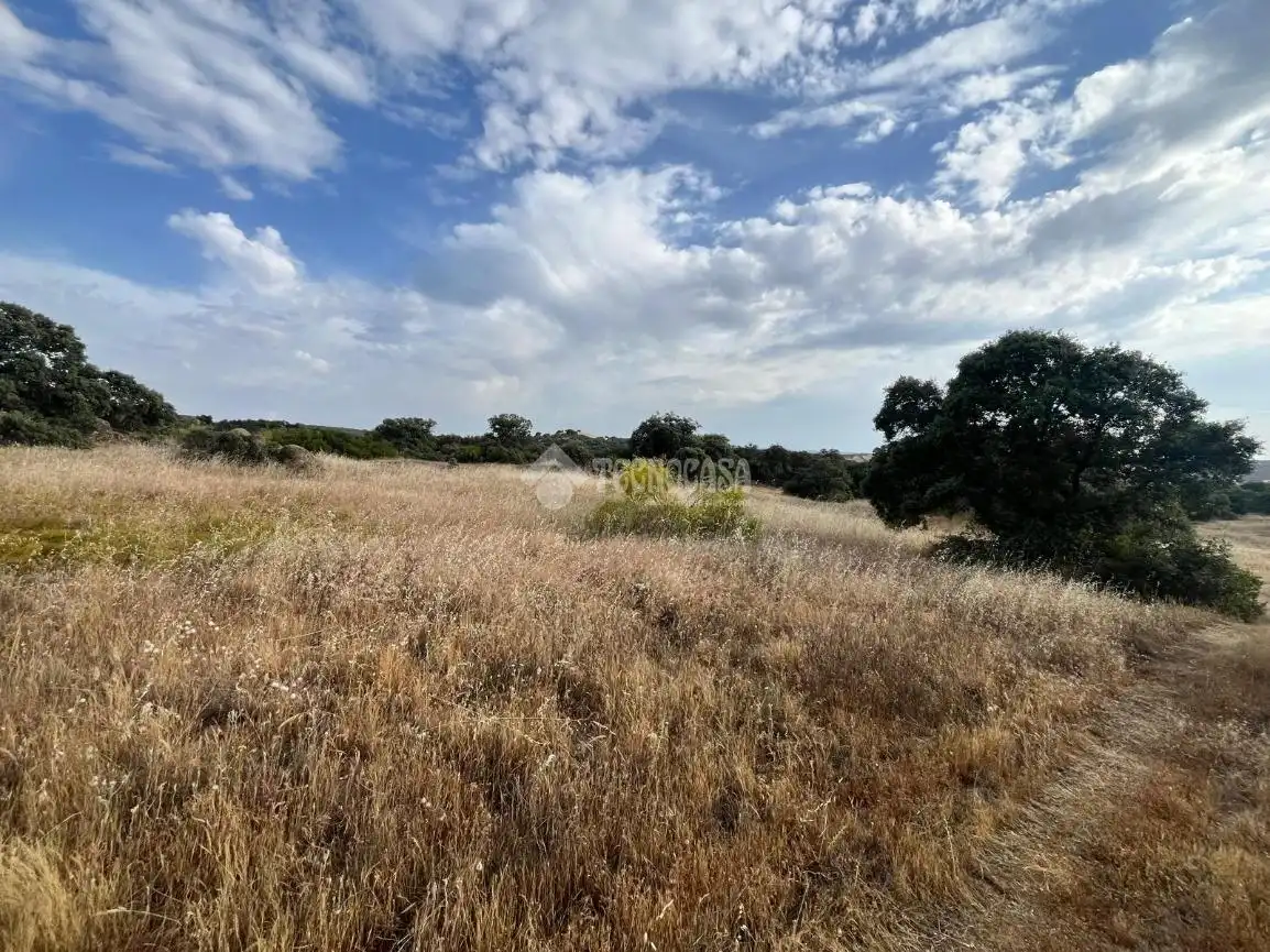 Terreno en venta en Santa Ana de Pusa