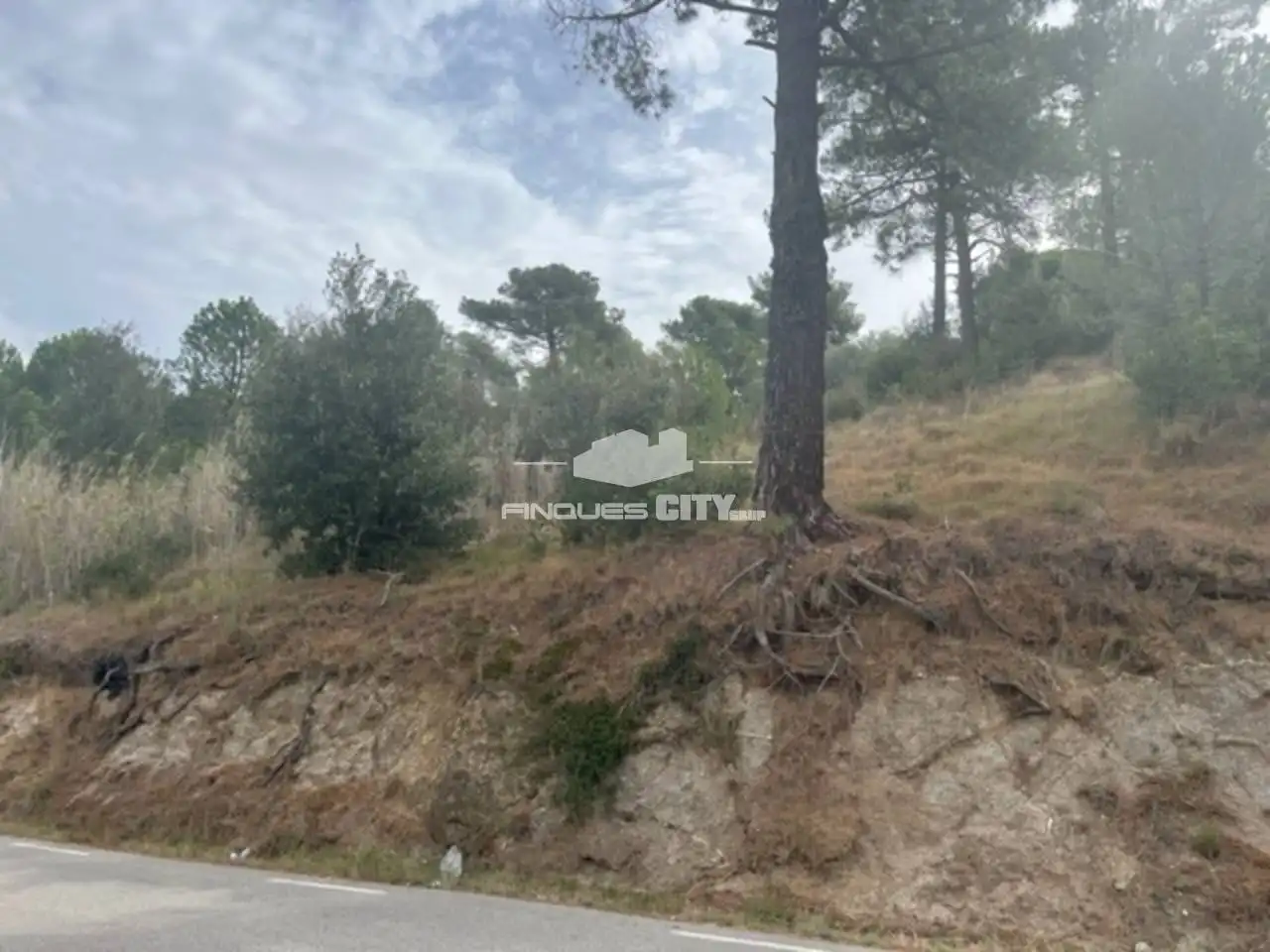 Terreno rústico en venta en Calle Sant Quirze 1, imagen 7