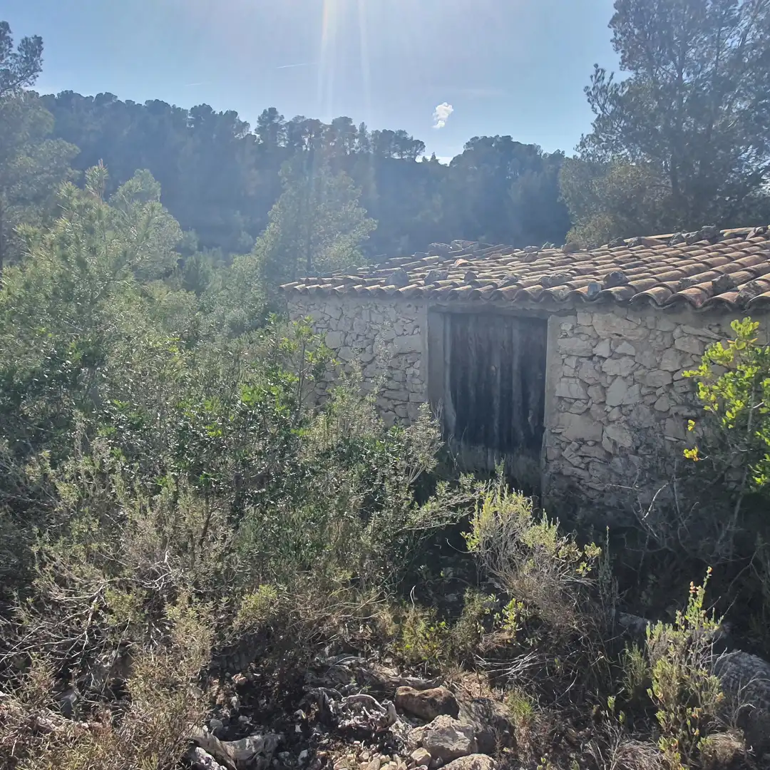 Terrain rustique à vendre à Benifallet, imagen 25