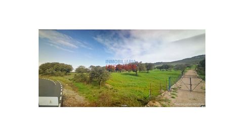 Finca de 64 ha de caza mayor y de recreo en Cabañas del Castillo