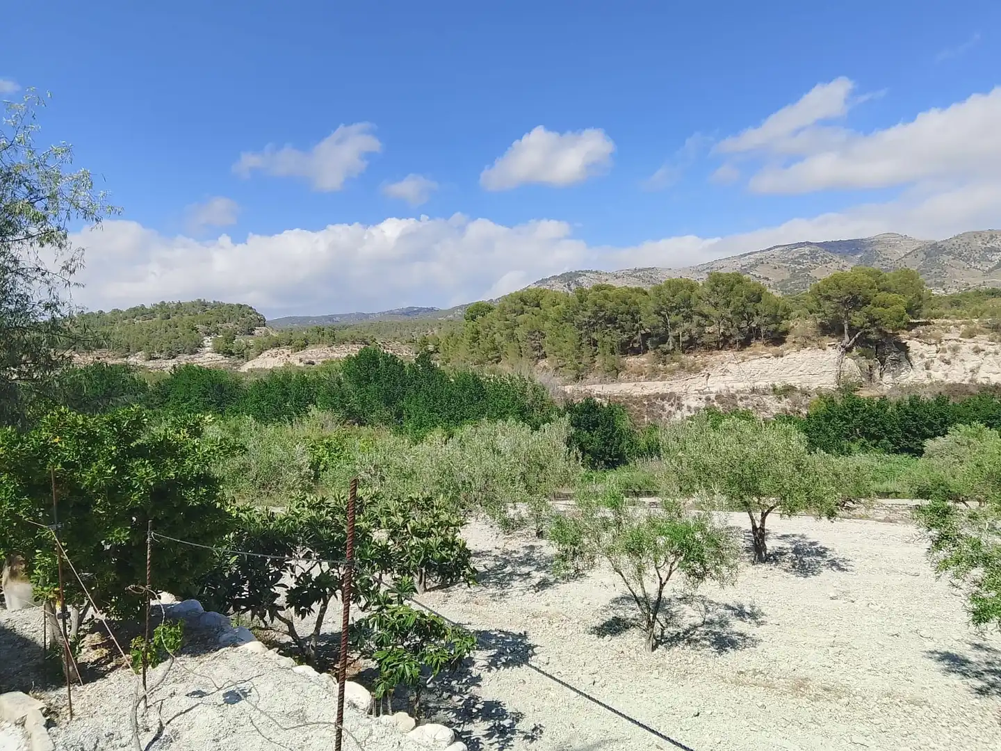 Terreno rustico in vendita a N/A, imagen 100
