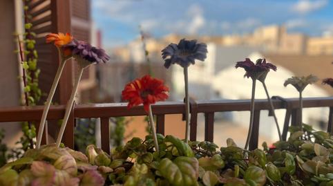 Foto 3 de Pis en venda a Carrer Joan Estelrich Artigues, Es Rafal Vell, Illes Balears