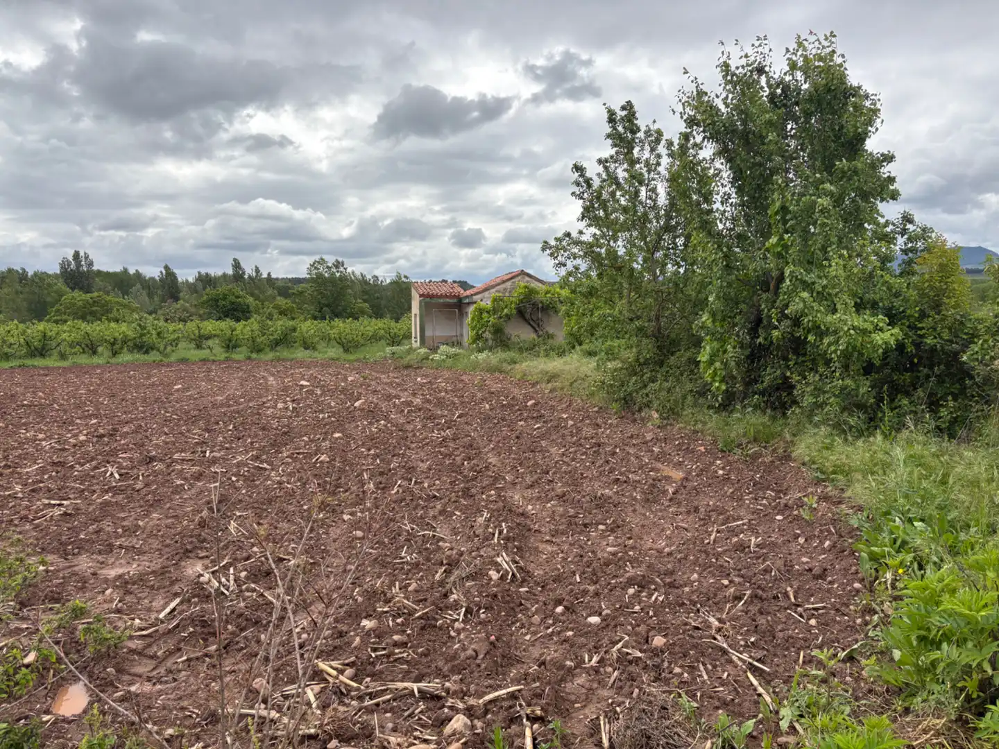 Terrenys i solars en venda a Alberite, imagen 10