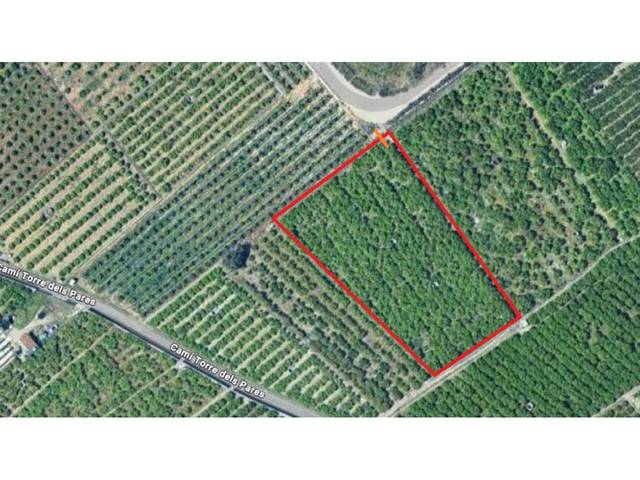 Terreno en Venta en Camino Torre de los Pares en Guardamar de la Safor