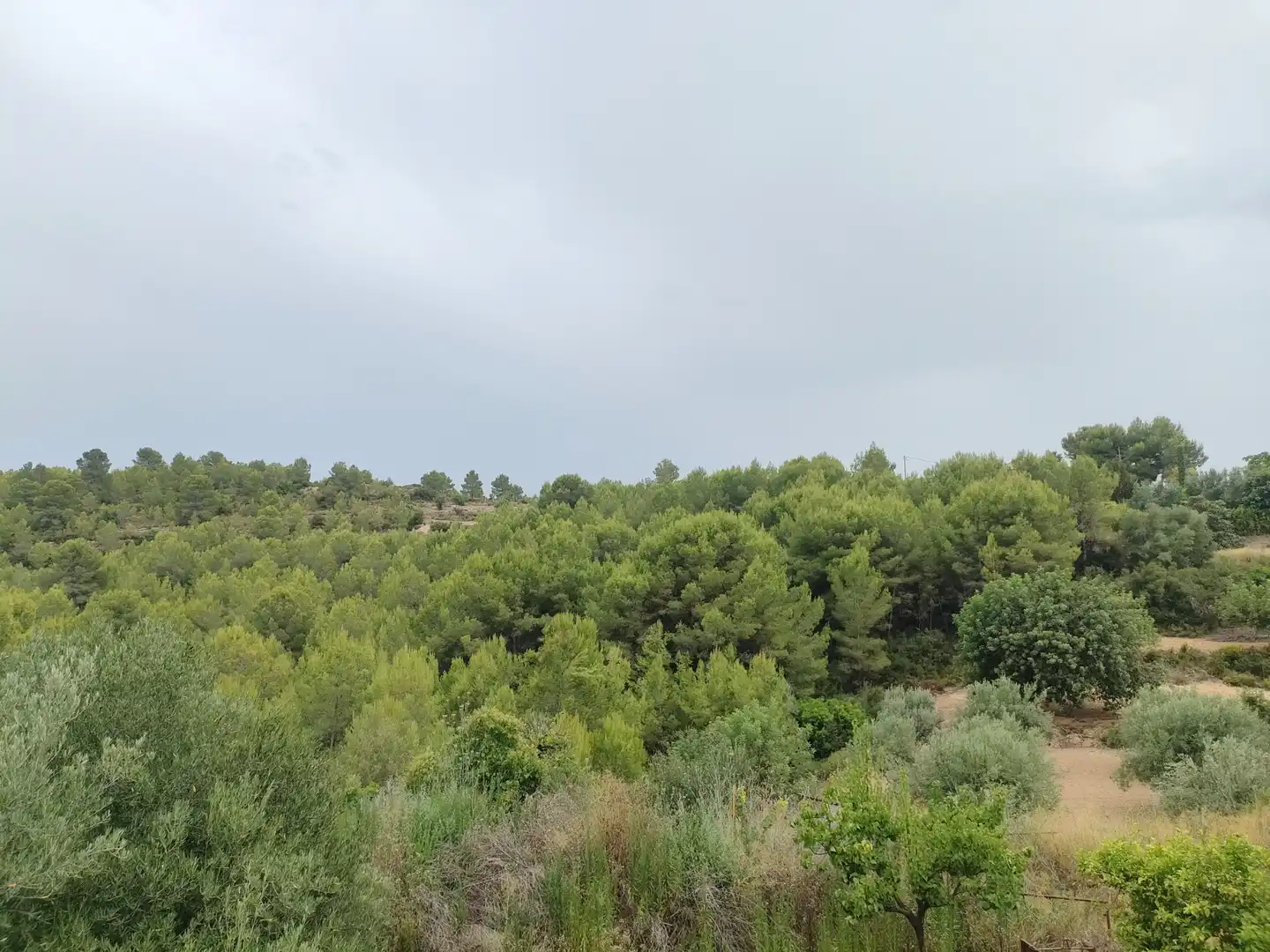 Casa o chalet en venta en Turís con Jardín privado, Terraza y Trastero