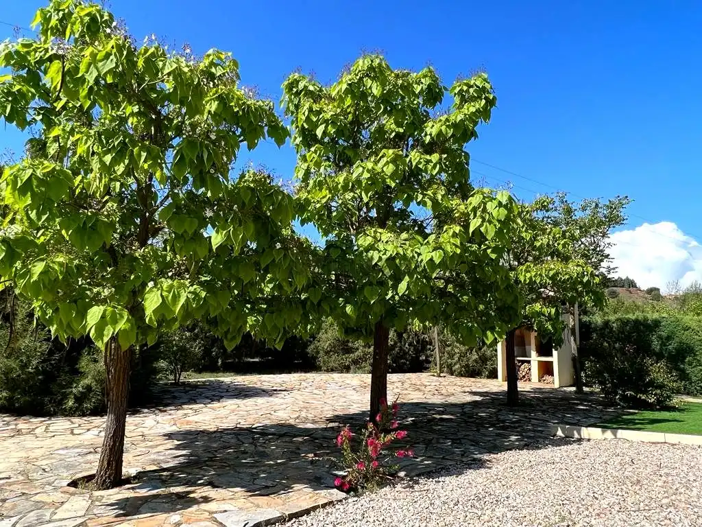 Jardí de Casa o xalet en venda en Teruel amb Aire condicionat, Calefacció i Jardí privat