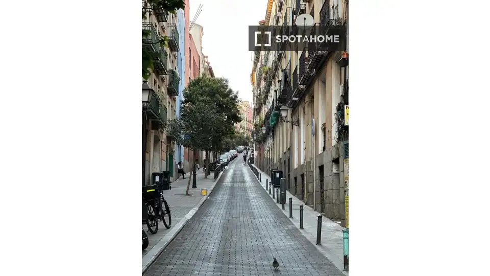 Pis de lloguer a Centro, imagen 14