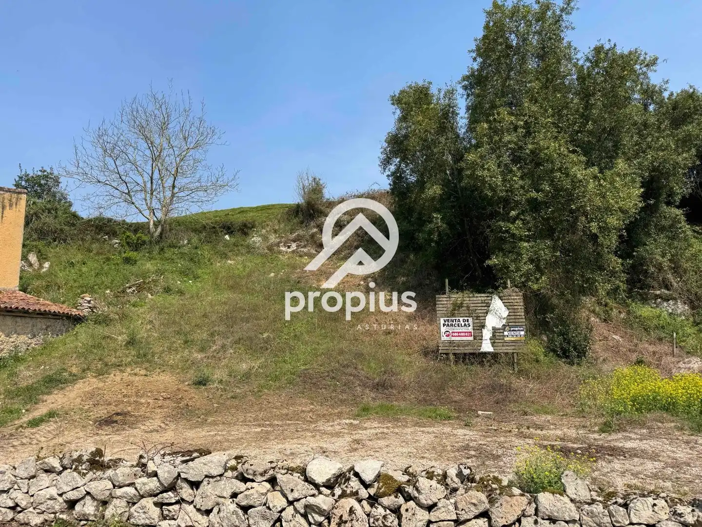 Wohnbaugrundstück zum Verkauf in LA BORBOLLA, imagen 16