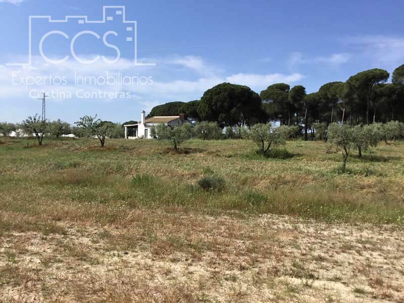 Finca rústica en venta en Almonte con Terraza y Amueblado