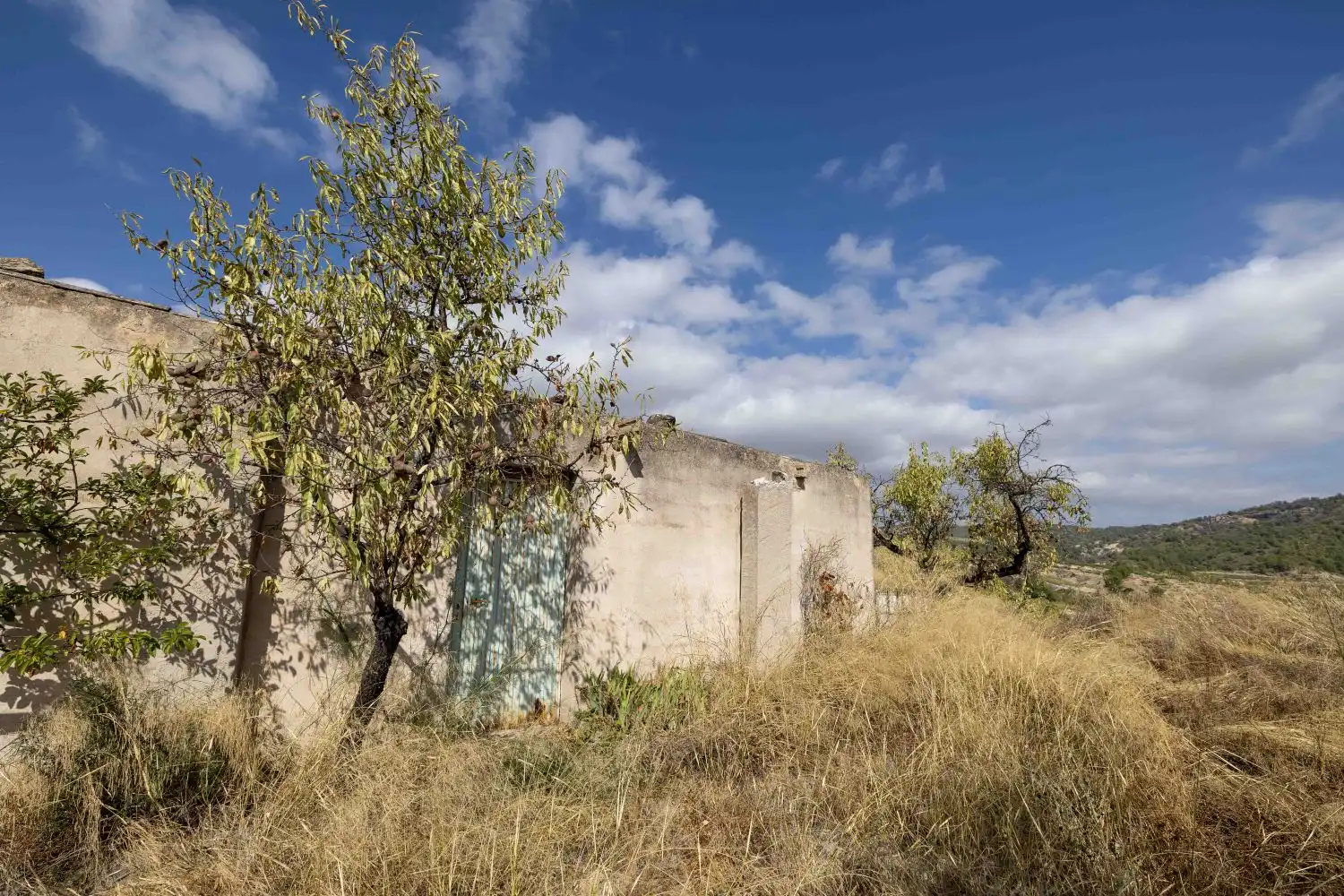 Vista exterior de Finca rústica en venta en Mula