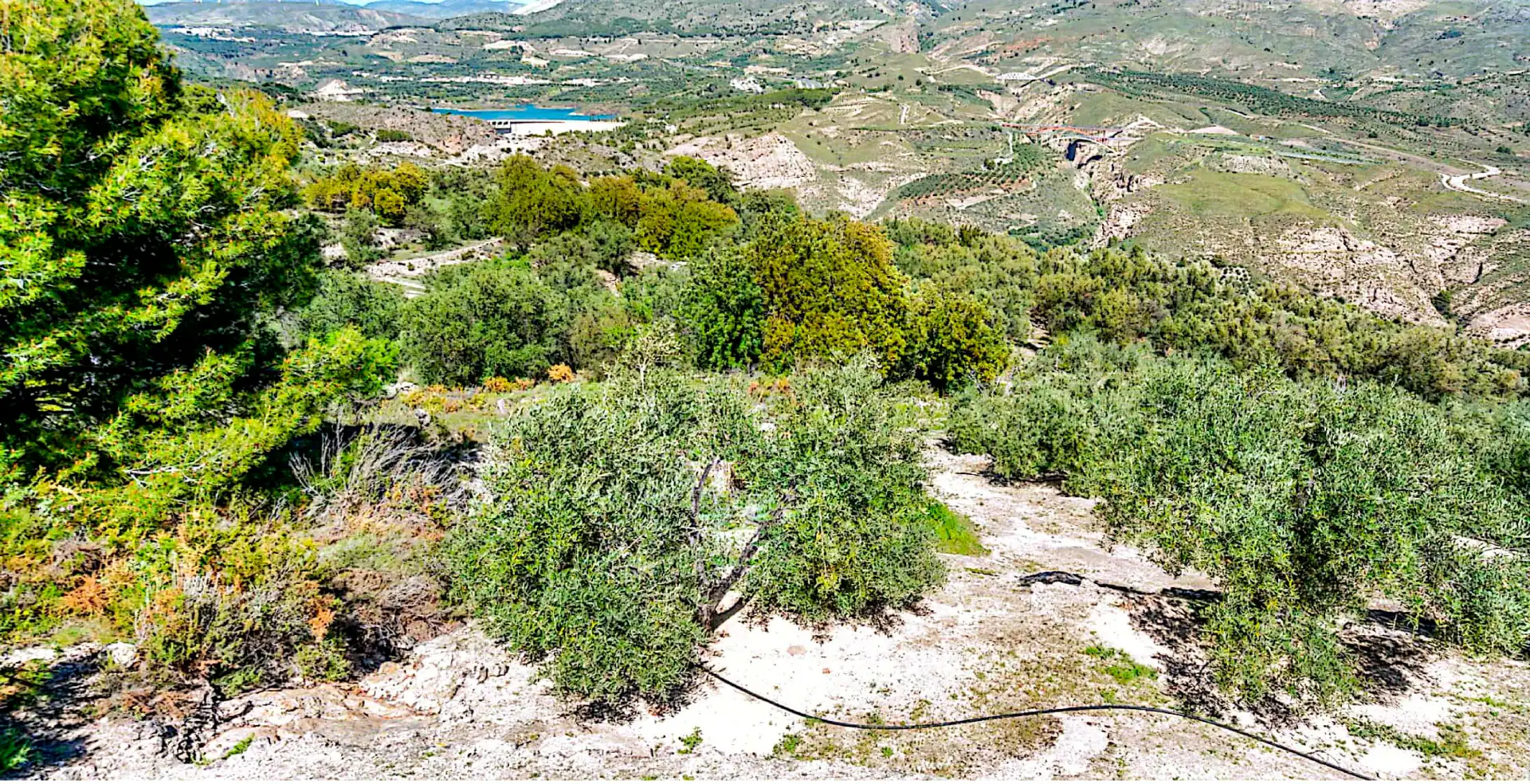 Terrain rustique à vendre à El Pinar, imagen 18