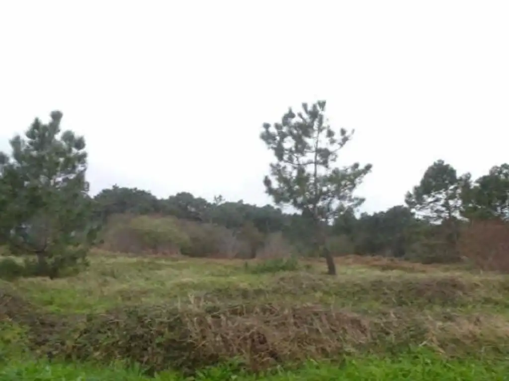Wohnbaugrundstück zum Verkauf in Santa María de Getxo