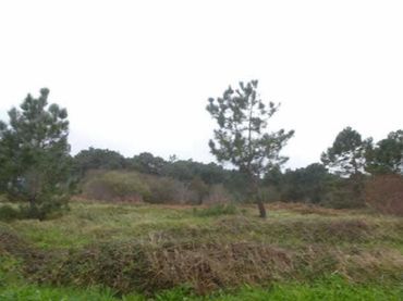 Terreny residencial en venda a Santa María de Getxo