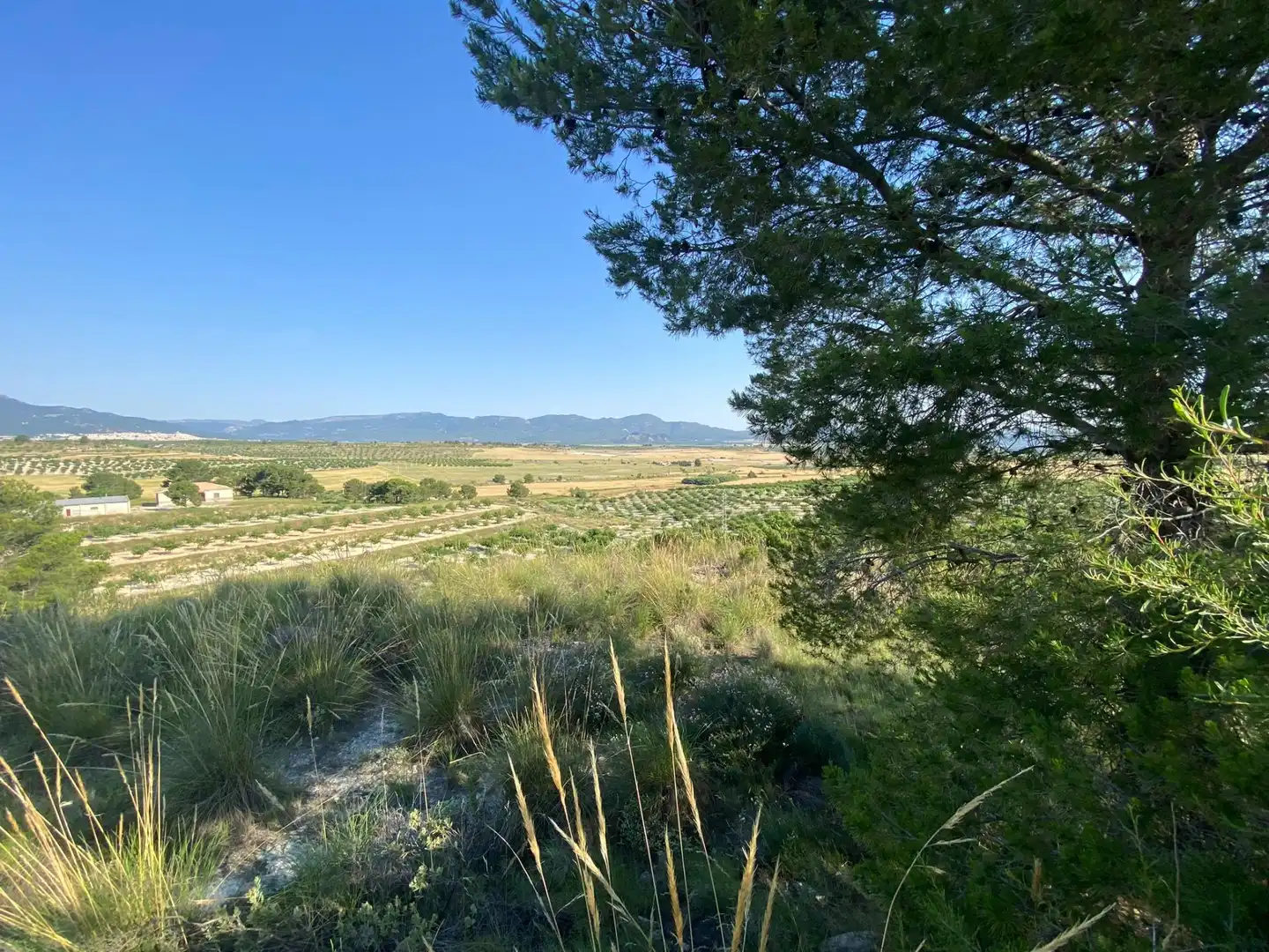 Villa à vendre à Moratalla, imagen 82