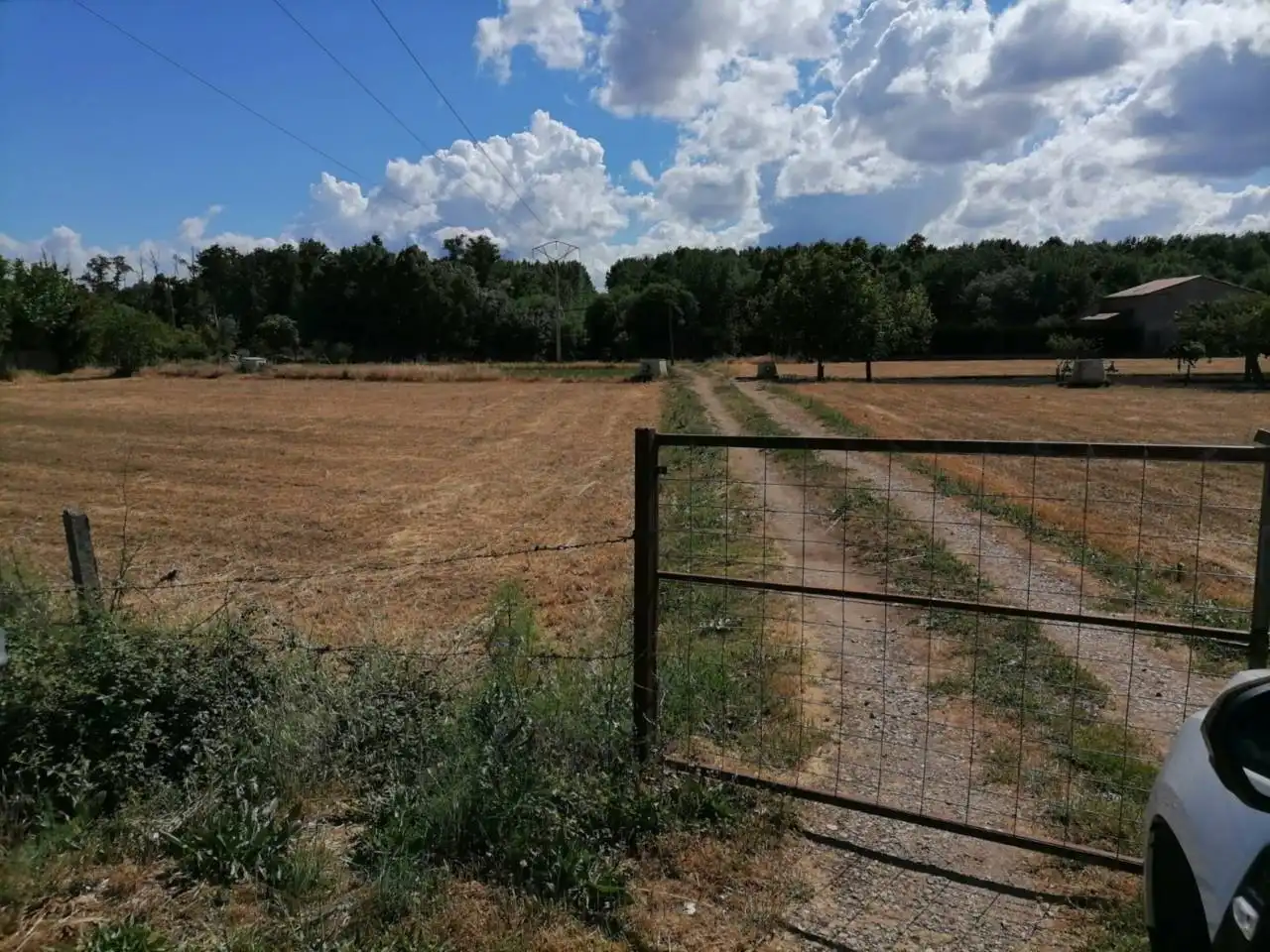Terreno rustico in vendita a Poligono 21 122, imagen 9