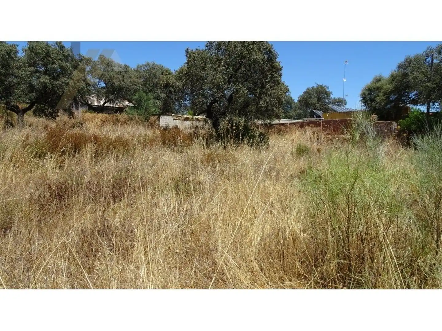 Terreno rústico en venta en Castilblanco de los Arroyos, imagen 2