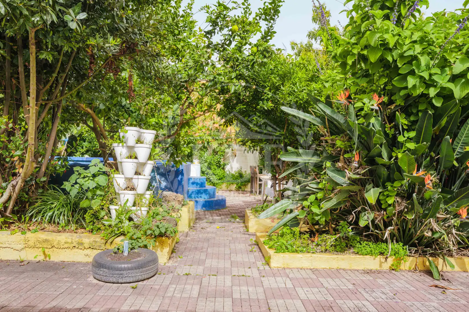 Jardín de Casa o chalet en venta en La Matanza de Acentejo con Jardín privado, Terraza y Piscina