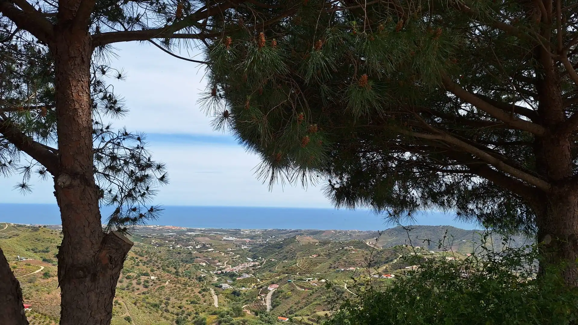 Außenansicht von Country house zur Miete in Vélez-Málaga mit Privatgarten, Terrasse und Schwimmbad