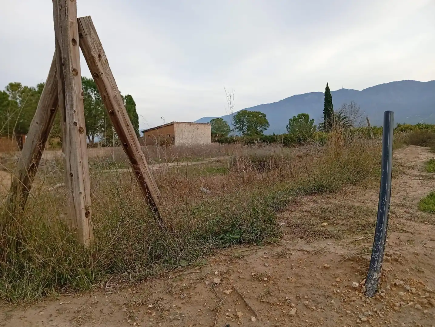 Terrain rustique à vendre à Polígono Paraje 82 EL ROMERAL, imagen 14