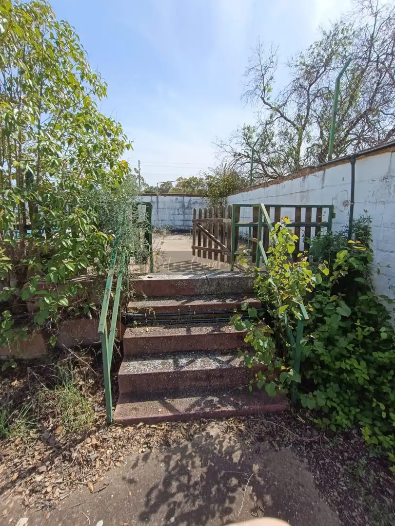Jardín de Finca rústica en venta en Almendralejo con Terraza, Trastero y Piscina