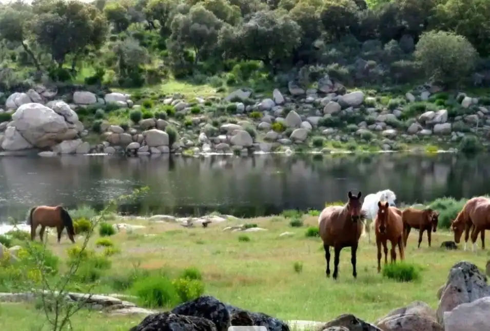 Vista exterior de Finca rústica en venta en Ledesma