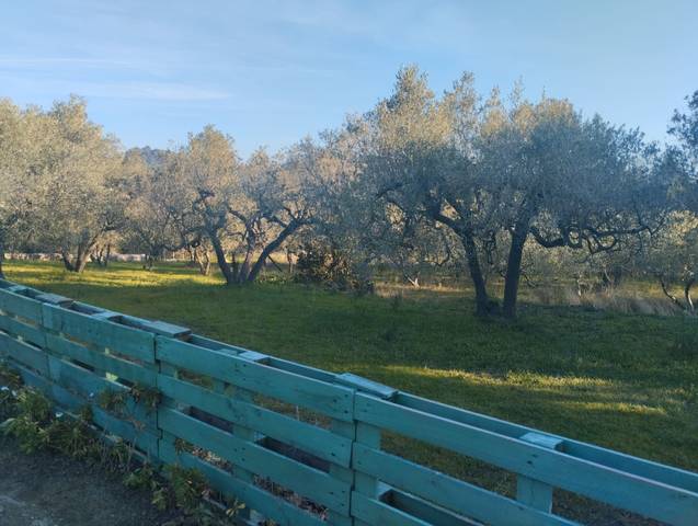 Terreno en Venta en Partida Fulledas, 168 en L'Aleixar