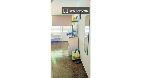 Foto 2 de Habitació a Puerto de Santiago, Santiago del Teide