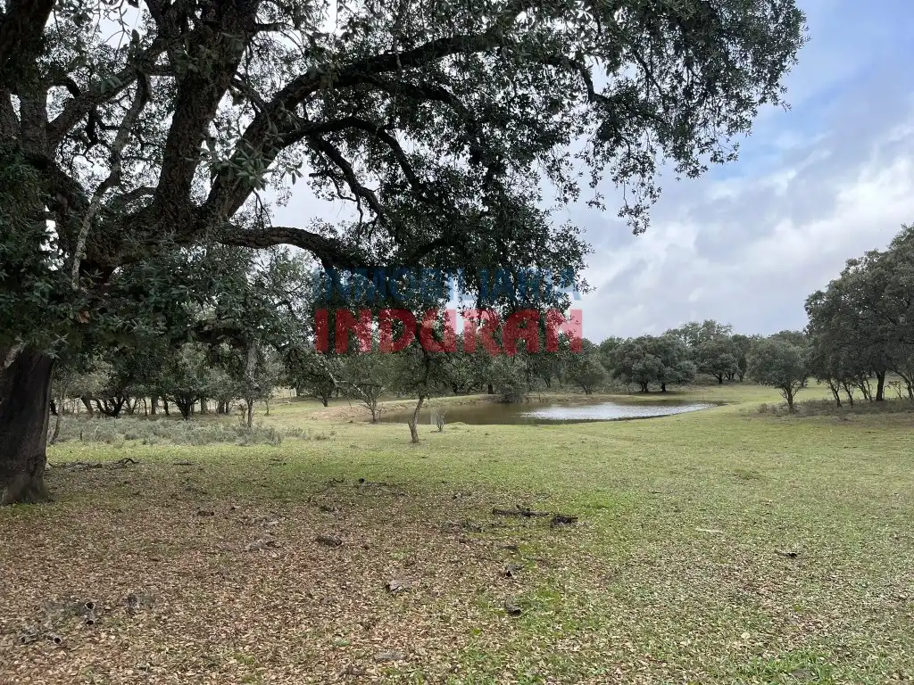 Finca rústica en venta en Calle Corchito, Majadas