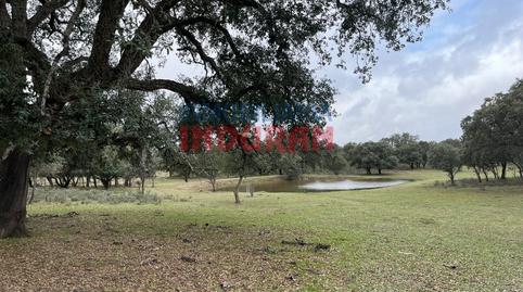 Foto 4 de Finca rústica en venda a Calle Corchito, Majadas, Cáceres
